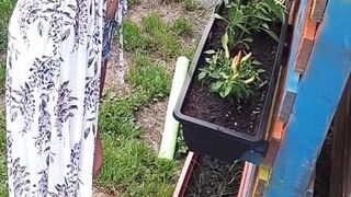 Gardening without t-shirt!