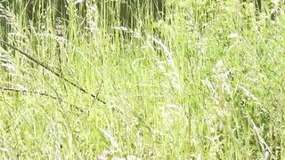 Milf sexy woman sunbathing naked on river bank. Naked in public. Wild beach Nudist. Ass. Pussy. Blonde. Doggystyle. Outside. POV