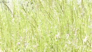 Milf sexy woman sunbathing naked on river bank. Naked in public. Wild beach Nudist. Ass. Pussy. Blonde. Doggystyle. Outside. POV