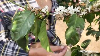 Deeptroath in coffee plantation