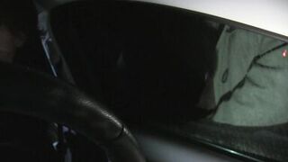 Sylvie, a parking lot bitch