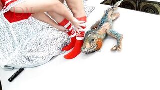 Girl with sexy school uniform is dancing without panties. Striptease with big iguana toy. c3 - 6 image