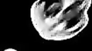 Lick and adore my leather ASS