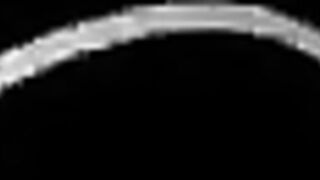 Lick and adore my leather ASS