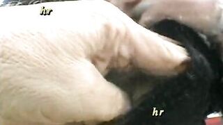 Amateur with wife swap in Milan between nymphomaniac couples