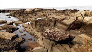 walk on the beach ends with an insertion in the cock, brunette, big ass, busty, big cock, man in underwear