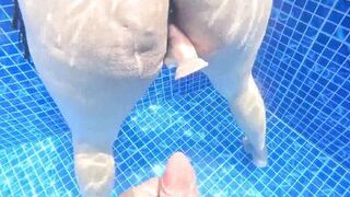 Sorprende's creamy pussy pounded hard in pool sex by Dweybigass & Alevalsex - 4 image