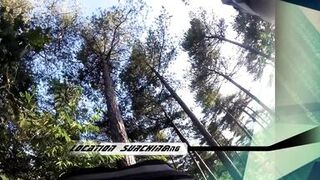 UDA Hot Milf housewife gets fucked hard outside in the woods - 2 image