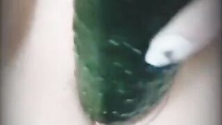 My wife fucks herself with a cucumber.