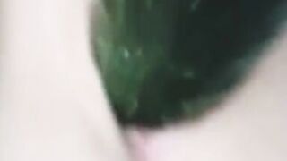 My wife fucks herself with a cucumber.