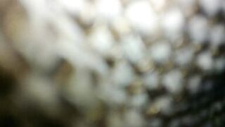 Closeup hard fucking milf, big moaning and slapping her face - 3 image