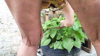 A little sight to see