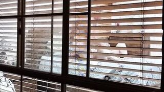 Neighbours watching us fuck