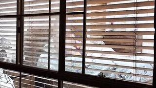 Neighbours watching us fuck