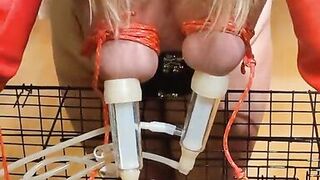 Hucow with bound boobs - 14 image