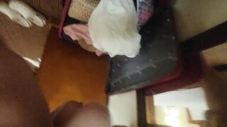 Astonishing creampie