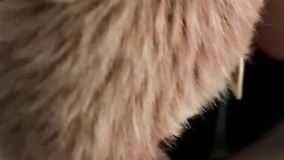 Mother I'd Like To Fuck sucks and jerks off cock for giant Spunk Fountain on her Meatballs, Simultaneous Agonorgasmos!