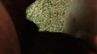 Fuck me in advance of this babe catches us