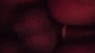 first video in the forest