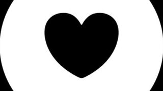 first video in the forest