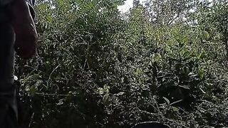 first video in the forest