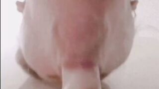 Horny milf deep throats and sucks it