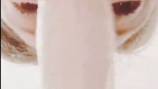 Horny milf deep throats and sucks it