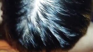 Asian Blowjob Queen Multiple Toys Masturbation and Blowjob