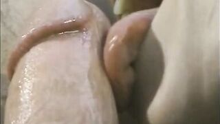 Sexy brunette MILF gets her juicy ass filled and a big facial by the pool