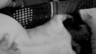 Prima argentina teen