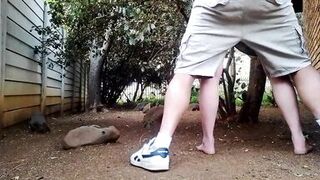 Fucking my neighbors wife in the garden